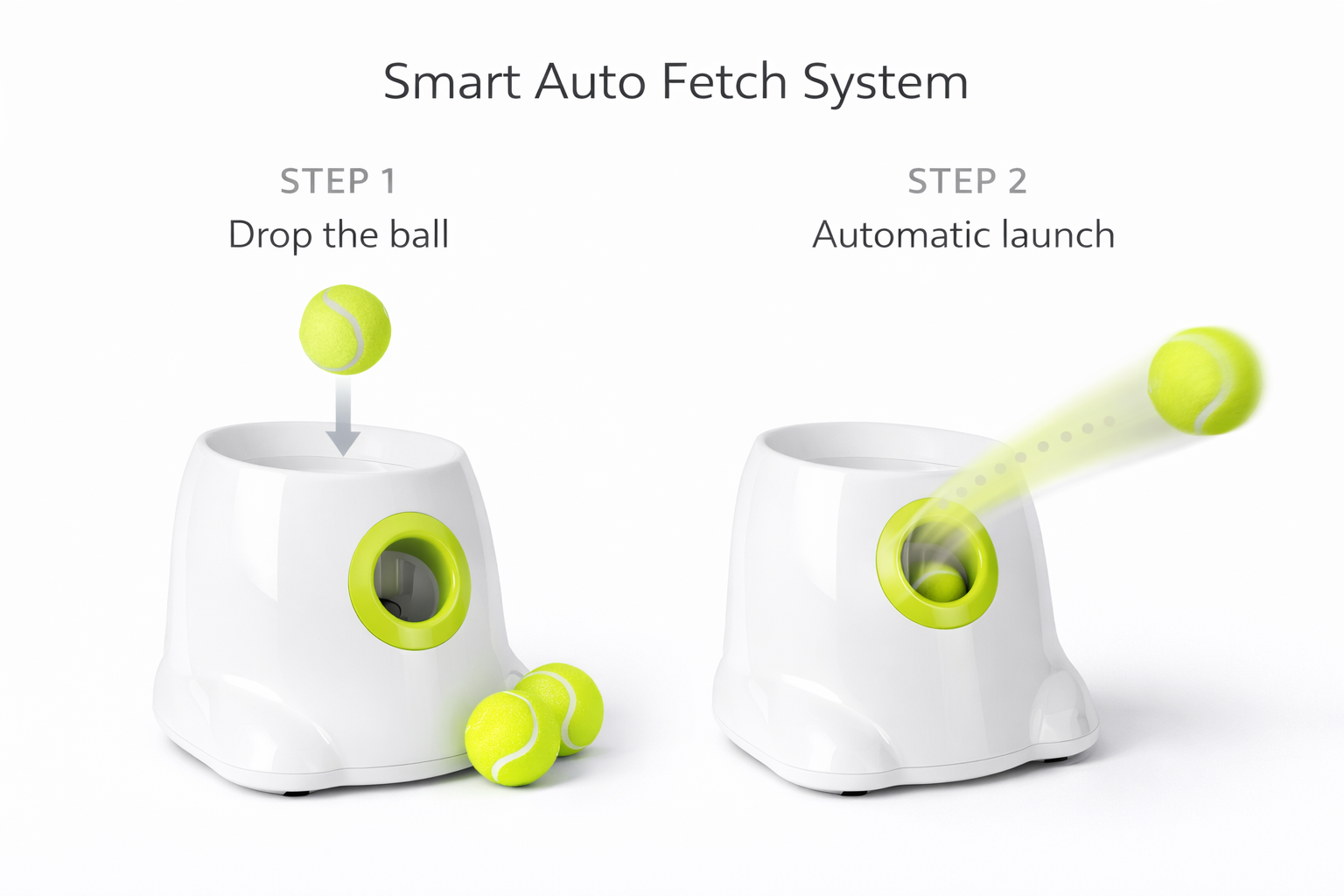 FetchMaster Pro