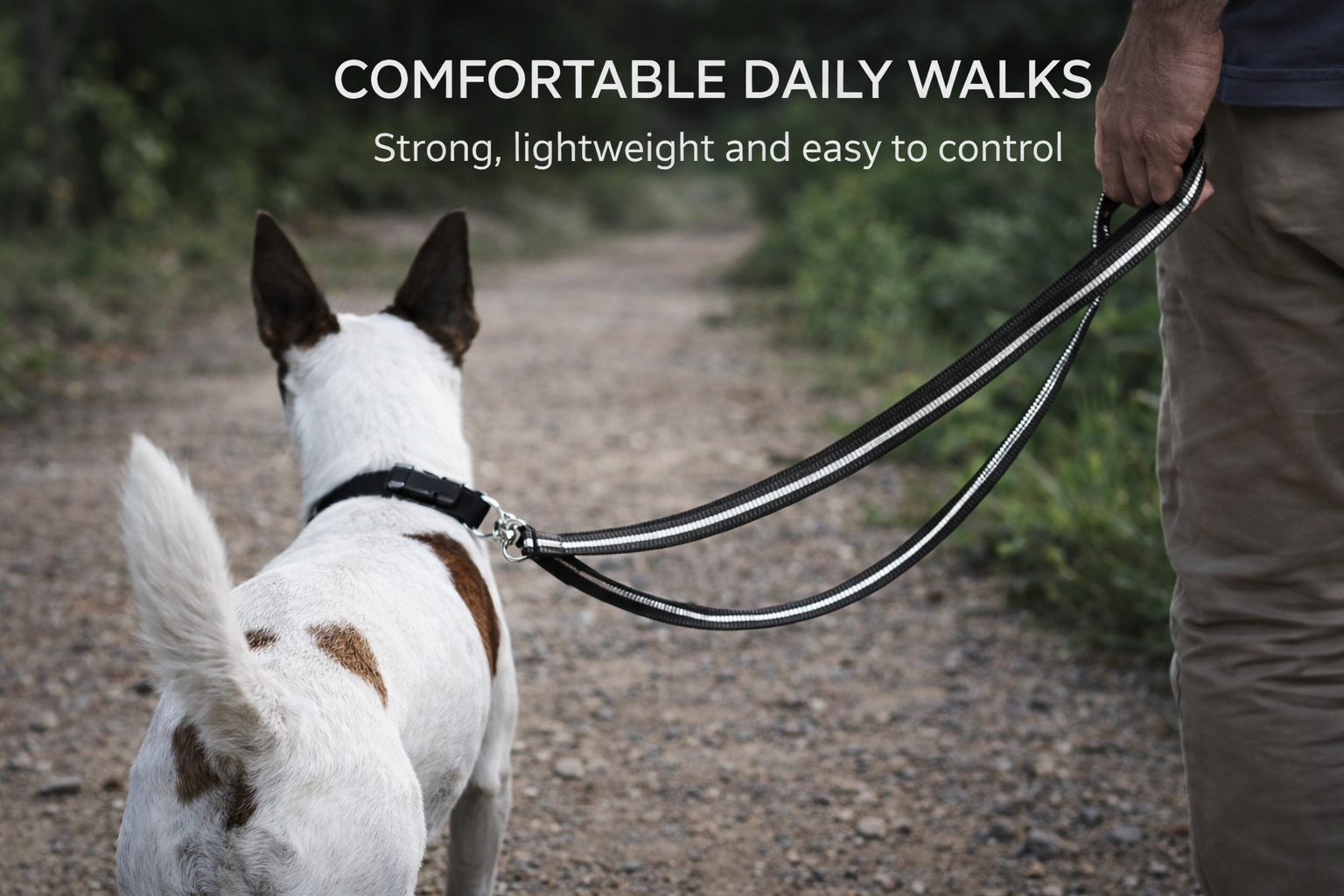 NightGuard Leash